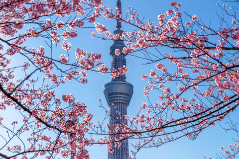 From Tokyo: Tokyo Full Day Private Sightseeing City Tour ITINERARY B:Tokyo Private Customized Tour With English Guide