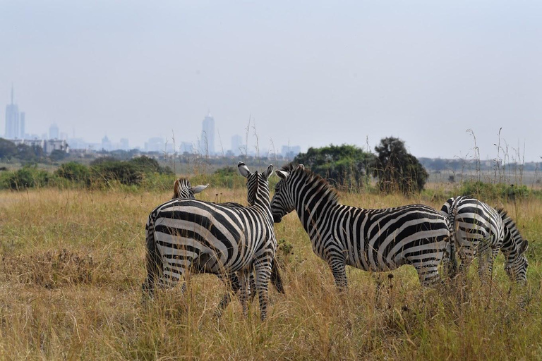 Viagem de um dia ao Parque Nacional de Nairobi e Centro de GirafasViagem Safári; Parque Nacional de Nairobi e Centro de Girafas