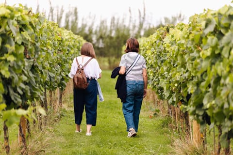 York: Weinberg-Tour mit Weinprobe & lokalen Knabbereien