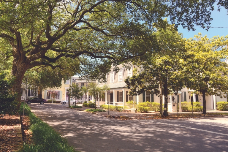 Savannah: Historische Highlights zu FußBürgerkriegstour