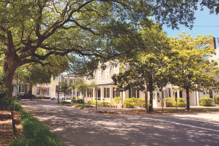 Savannah: Historische Highlights zu FußBürgerkriegstour