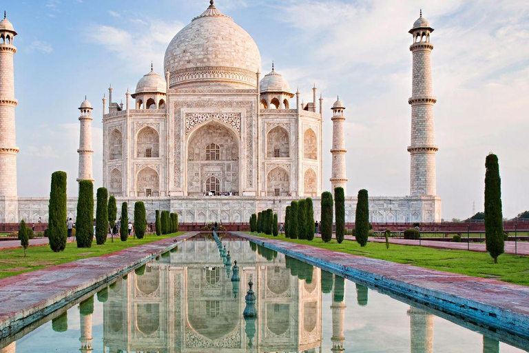 From Delhi: Private Golden Triangle with Ranthambhore Safari MTA027/02 - Private Tour With Transport + Guide + Safari