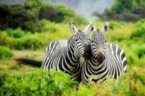 5-Day Lake Bunyonyi & Lake Mburo Tour with Boat Cruise