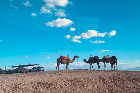 Marrakesz: Agafay Quad Tour z przejażdżką na wielbłądzie, kolacją i pokazemMarrakesz: Agafay Desert Quad Bike, Przejażdżka na wielbłądzie i Dinner Show