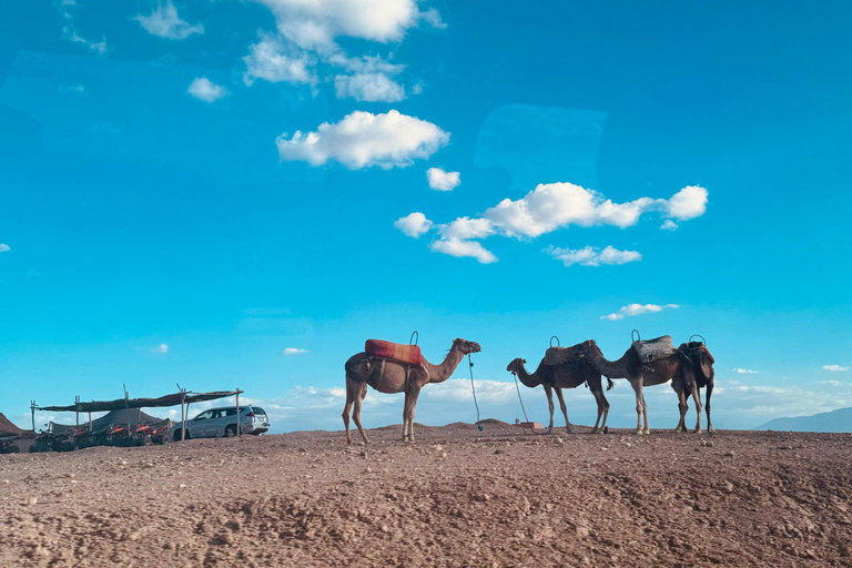 Marrakesz: Agafay Quad Tour z przejażdżką na wielbłądzie, kolacją i pokazemMarrakesz: Agafay Desert Quad Bike, Przejażdżka na wielbłądzie i Dinner Show