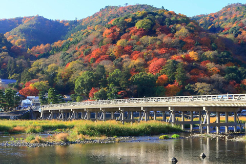 Kyoto &amp; Nara: Erfgoed en natuurlijke wonderen tour (vanuit Osaka)