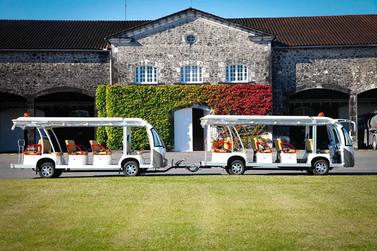 Rémy Martin Discover the production site by train Rémy Martin Découverte en train du site d'élaboration