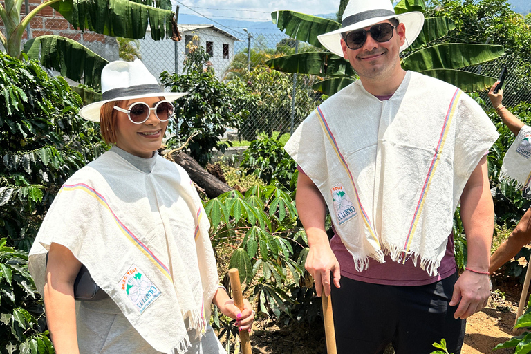 Coffee and Exotic Fruit Tour from Medellín with Lunch Coffee and Exotic Fruit Tour from Medellín with Lunch.