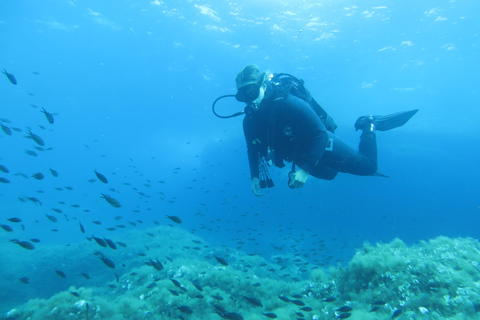 Malta: 2 immersioni di divertimento per subacquei certificati