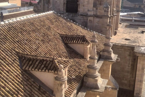 Granada: Monastery of San Jerónimo Entry Ticket