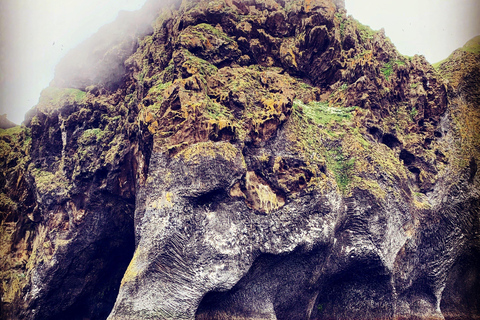 Westman Islands World´s Largest Puffin Colony & Volcano Tour