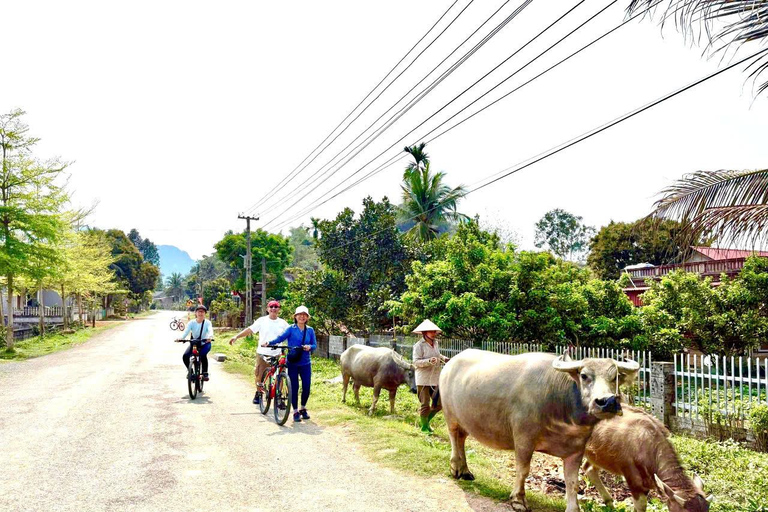 Hanoi: Mai Chau, Pu Luong, and Ninh Binh 3-Day Tour