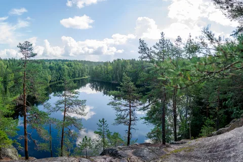 Helsinki : Randonnée dans le parc national de Nuuksio avec déjeuner autour d'un feu de camp