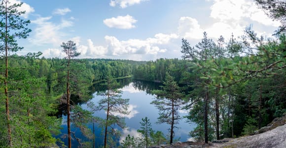 Helsinki: Wanderung im Nuuksio-Nationalpark mit Mittagessen am Lagerfeuer