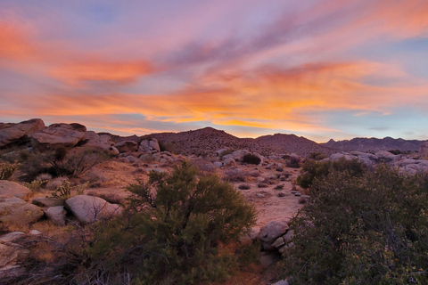 From San Diego: 2-Day Exploring in Anza Borrego Desert