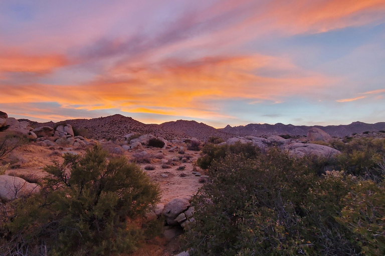 From San Diego: 2-Day Exploring in Anza Borrego Desert