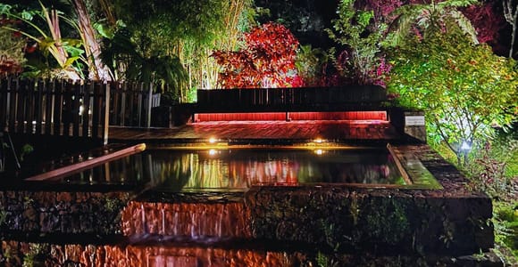 Furnas: Mystic Night Tour, Hot Springs Visit & Cozido Dinner