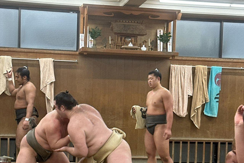 Tokyo:Premium Authentic Sumo Morning Training Experience