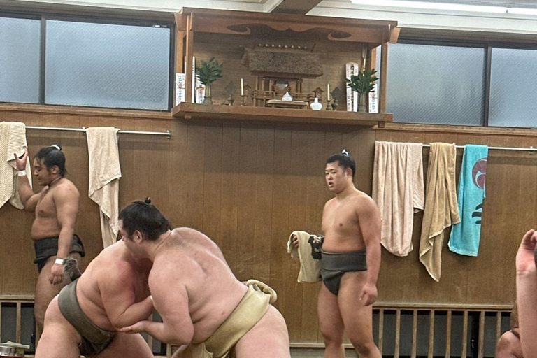 Tokyo:Premium Authentic Sumo Morning Training Experience