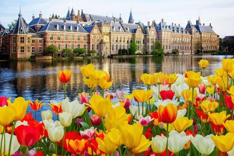 Tour privato di Rotterdam, L&#039;Aia e Delft da Amsterdam in auto