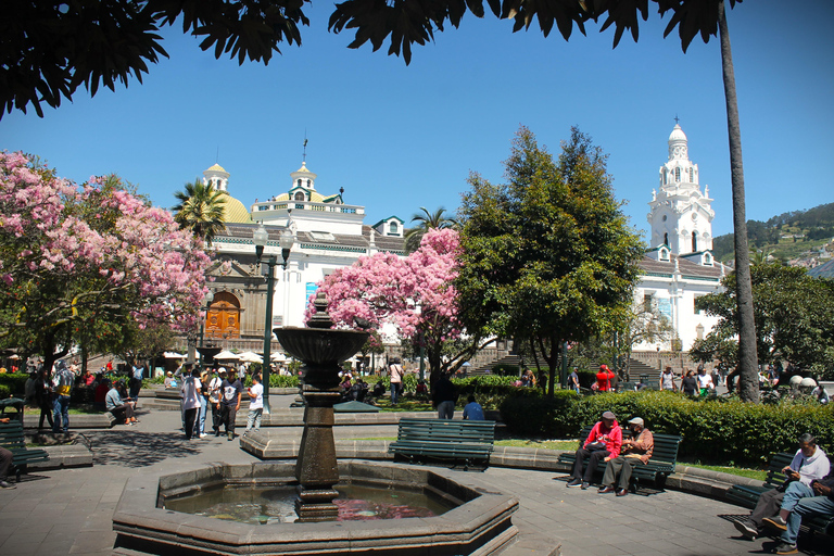 Ecuador: La Strada dei Vulcani - Tour di 7 giorniEcuador: La Via dei Vulcani - Tour di 7 giorni