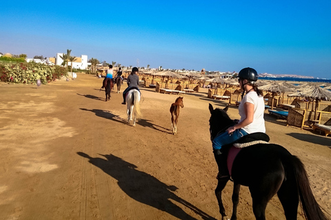 El Gouna : Randonnée à cheval dans le désert et la mer avec baignade en option1 heure de quad + 1 heure d&#039;équitation — Combo double aventure