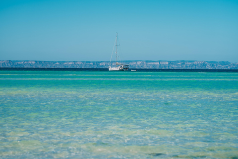 La Paz: Espiritu Santo Island Tour