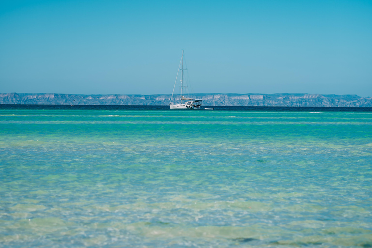 La Paz: Espiritu Santo Island Tour