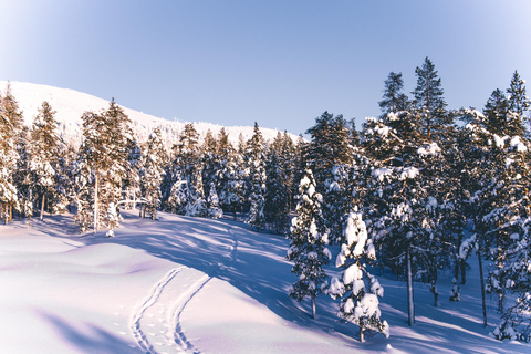 Pyhätunturi: Private Wilderness Skiing Tour In Pyhätunturi