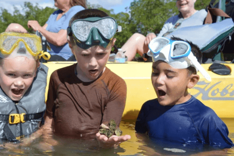 From Naples, FL: Marco Island Mangroves Kayak or Paddle Tour Easy Ride Pedal Kayak Tour