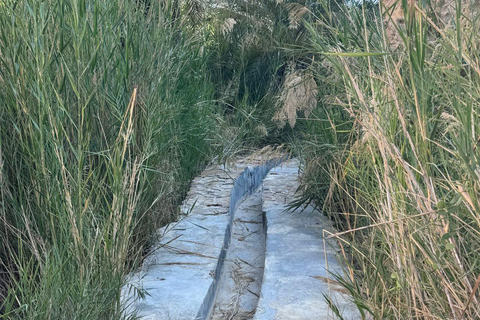 Salalah: Overnight Trip to Shuwaymiyah with Dinner