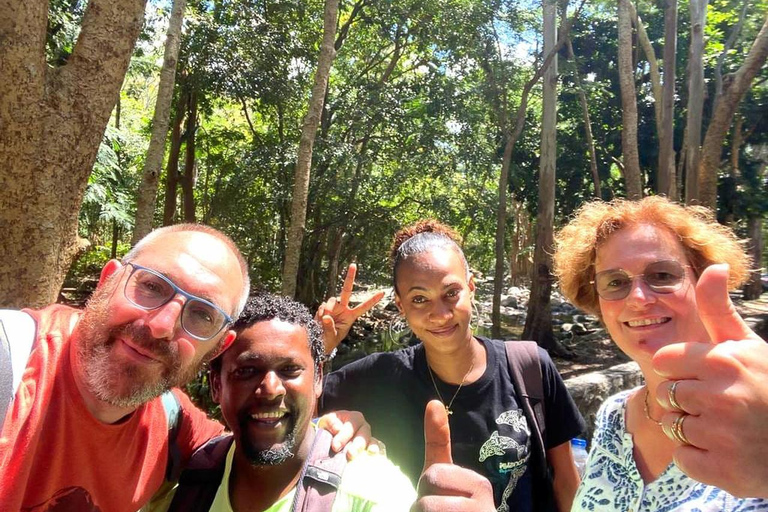 Mauritius nationalpark: Upptäck ön som den en gång var