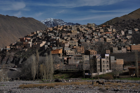 From Marrakech: Private Day Trip to Atlas Mountains