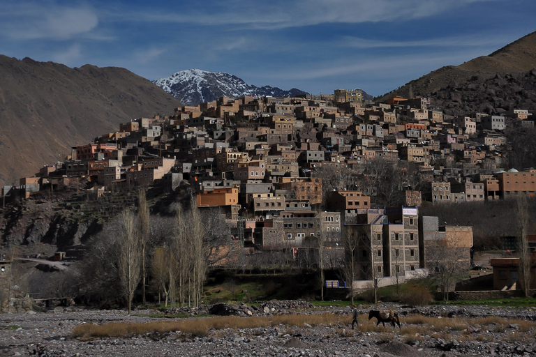 Desde Marrakech: excursión privada de un día a las montañas del Atlas