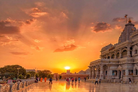 From Delhi: Private Golden Triangle with Ranthambhore Safari MTA027/02 - Private Tour With Transport + Guide + Safari
