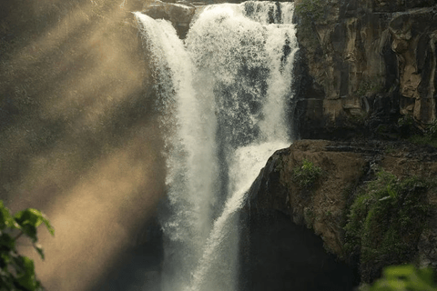 Ubud: Natura in primo piano, fauna selvatica, altalena e cascata