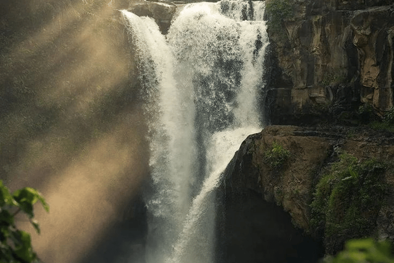 Ubud: Natura in primo piano, fauna selvatica, altalena e cascata