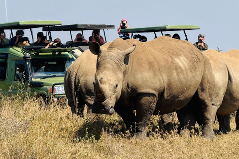 Nairobi Park Safari, Sheldrick's Orphanage & Giraffe Center Shared Drive in Open-Roof Van Game Drive