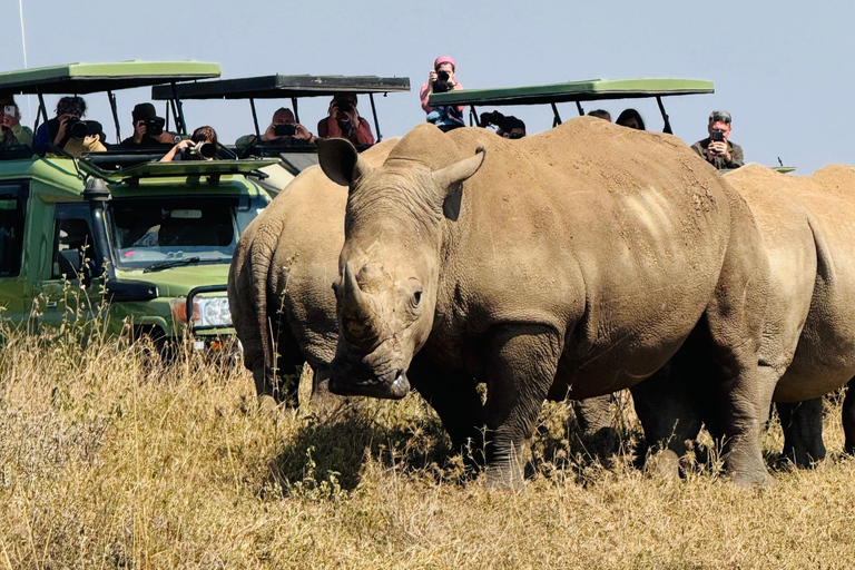 Nairobi Park Safari, Sheldrick's Orphanage & Giraffe Center Shared Drive in Open-Roof Van Game Drive