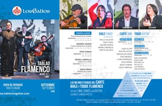 Sevilla: Flamenco-Show im Tablao Los Gallos