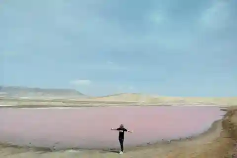Paracas: Excursão de meio dia à Reserva Nacional de Paracas