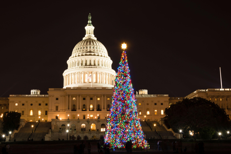 Washington, DC: Big Bus Holiday Tour by Open-top Bus