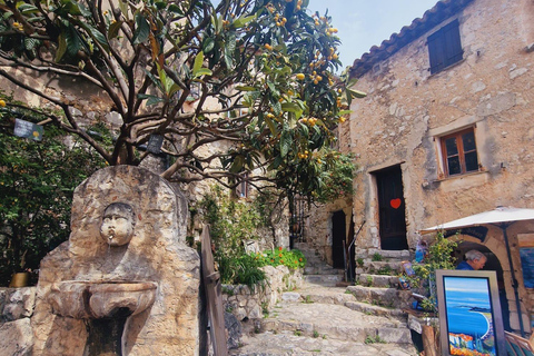 Excursión en bici eléctrica de Niza a Eze Village