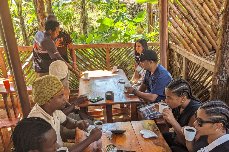 Day Trip: Materuni Waterfalls, Coffee, Springs & Maasai