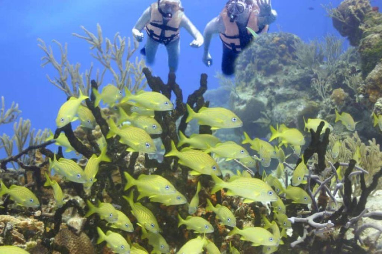 Z Cancun: rejs jachtem Riviera Maya6-godzinna wycieczka