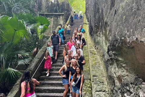 Customizable half day group tour (price per vehicle)