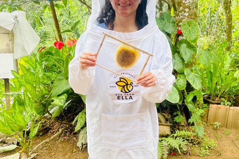 Ella: Bee Farm Tour With Honey Tasting Experience