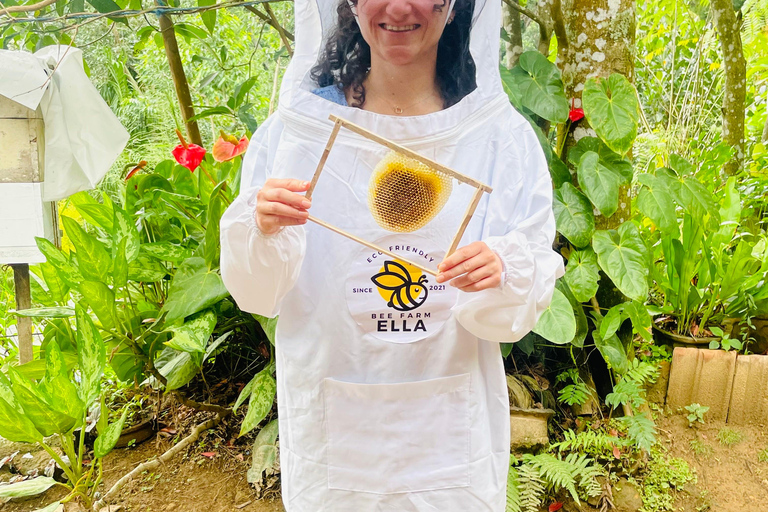 Ella: Bee Farm Tour With Honey Tasting Experience
