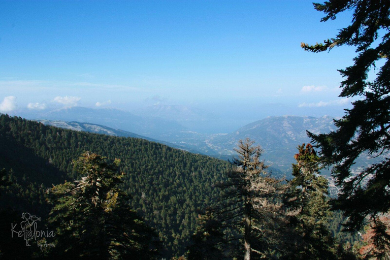 Kefalonia Ainos Premium 4x4 Van Experience Pick-up from Argostoli, Lassi, Svoronata, Lourdata Areas