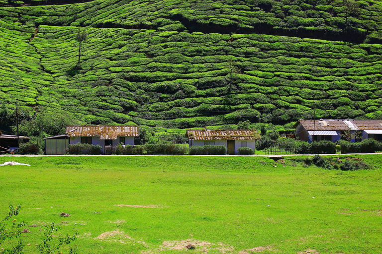 8-tägige Kerala Tour Pakete von Cochin mit Hausbootaufenthalt